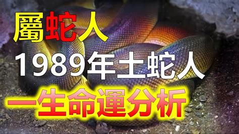 1989 屬|生肖蛇: 性格，愛情，2024運勢，生肖1989，2001，2013